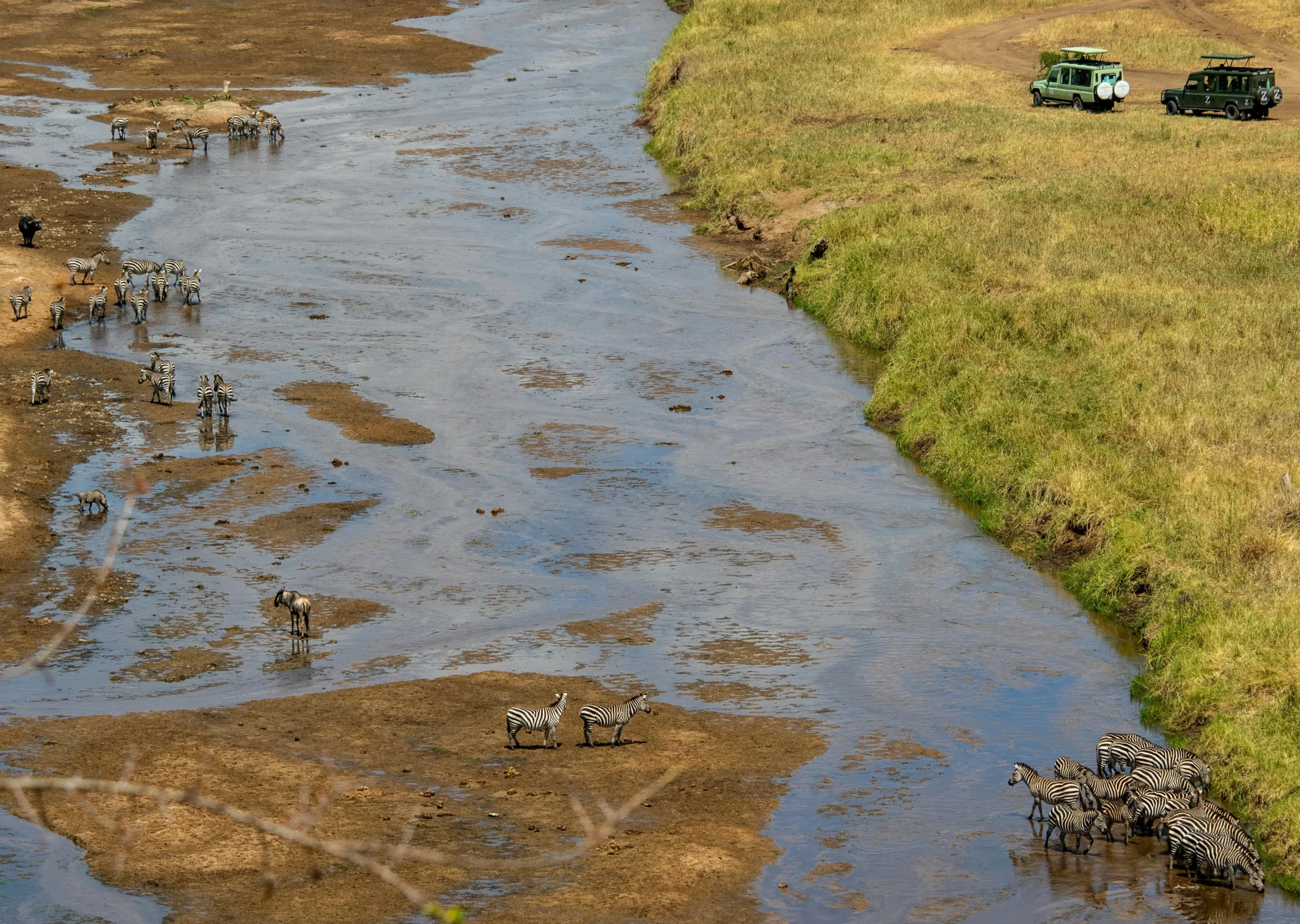 Bentota River Safari