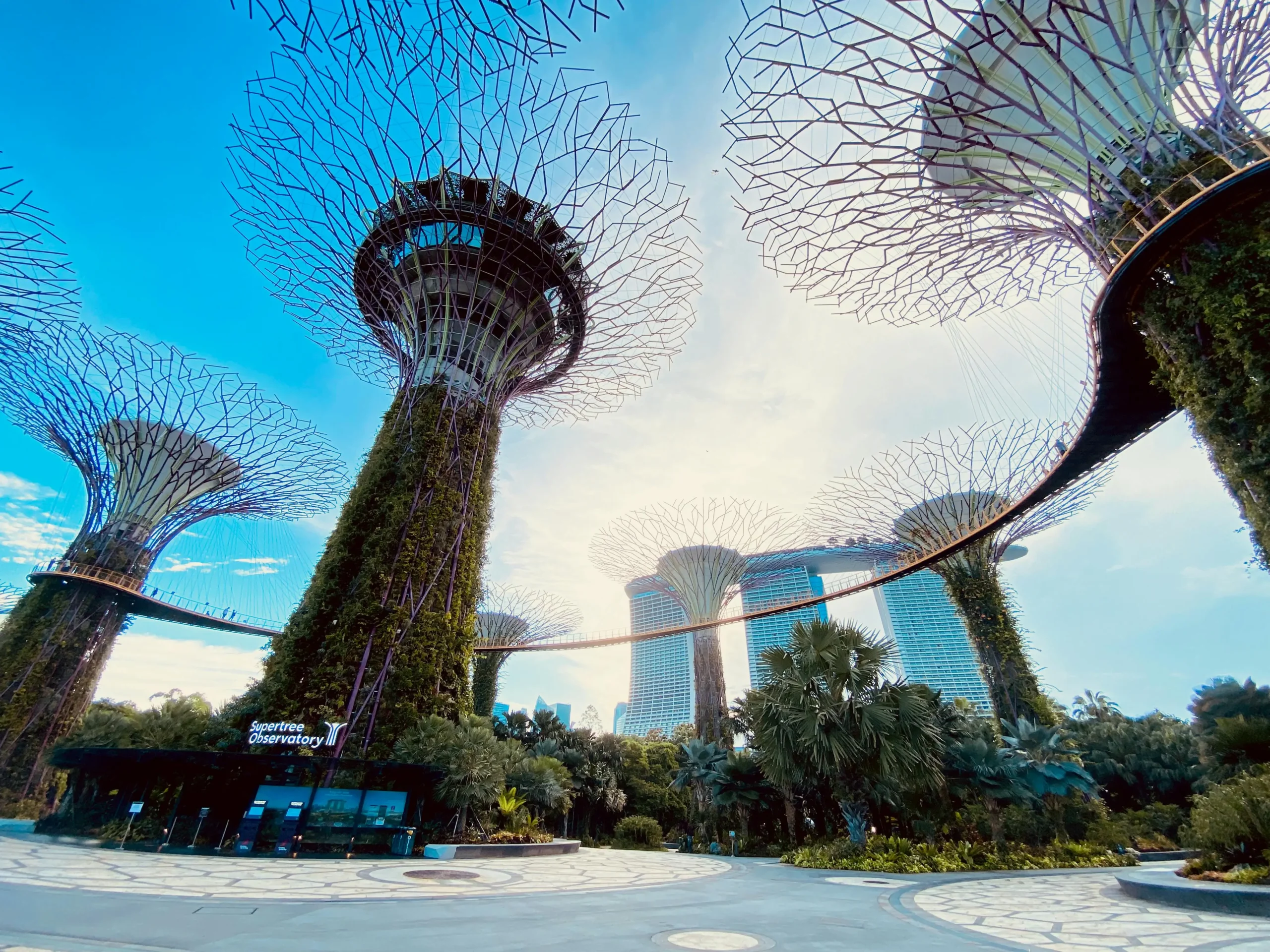 Gardens by the Bay